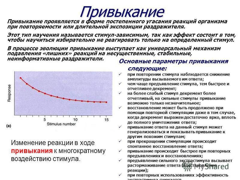 На какое время увеличивается