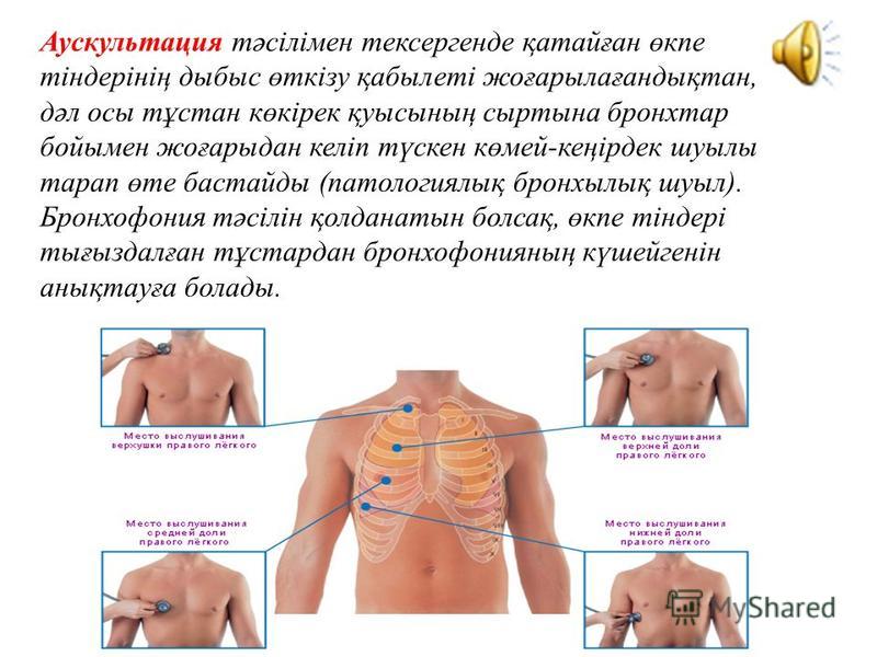 Аускультация сердца алгоритм