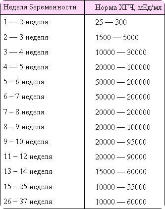 35 неделя беременности сколько месяцев