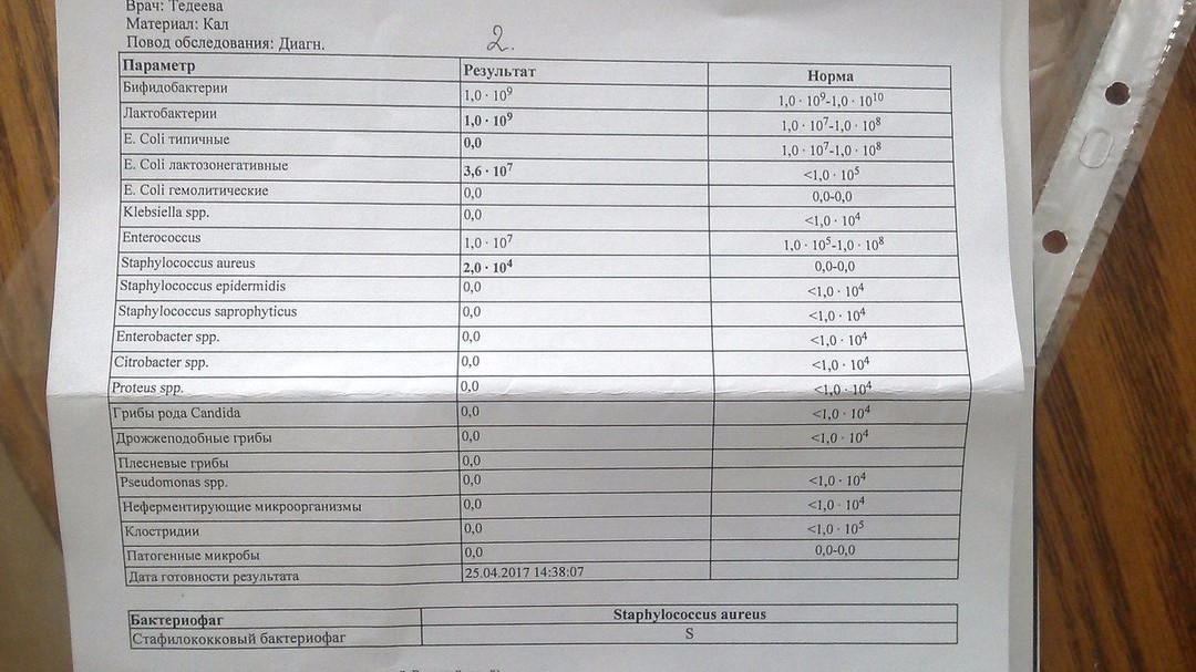 Сдают ли кал. Анализ на стафилококк норма. Анализ кала на дисбактериоз показатели норма. Золотистый стафилококк показатель нормы. Staphylococcus aureus анализ.