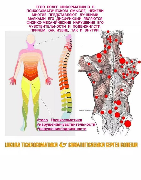 Психосоматика тела. Боль в спине психосоматика. Боль в теле психосоматика. Болит позвоночник психосоматика. Психосоматика мышечных болей.