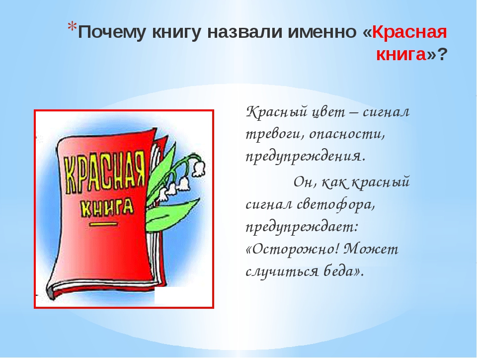 5 книги как называется