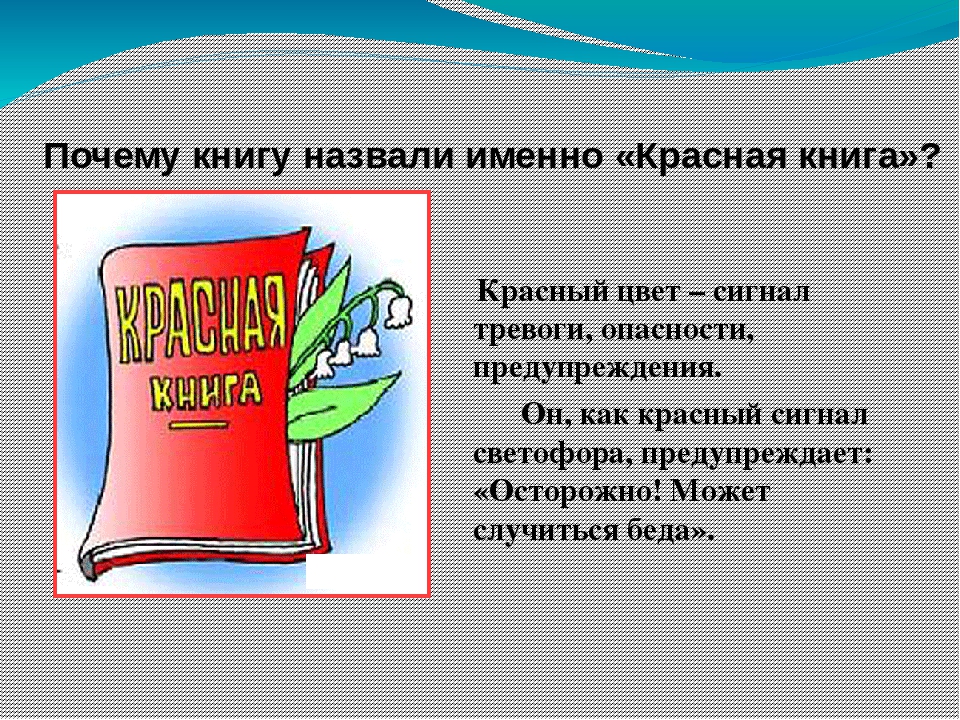 Красный потому. Почему книгу назвали красной. Почему красная книга красная. Почему красную книгу назвали красной. Красная книга предисловие.