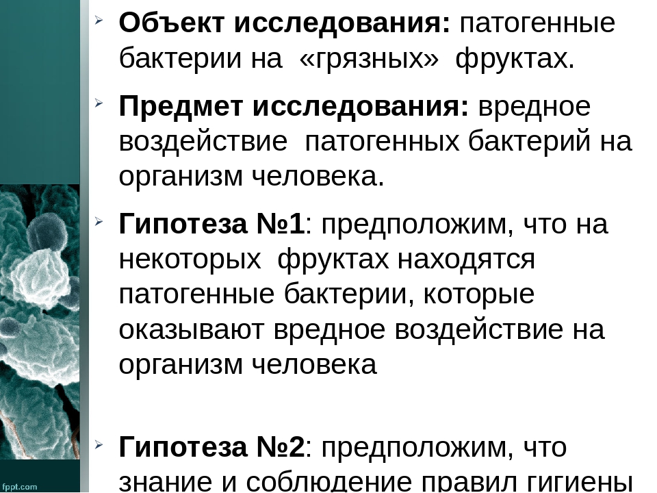 Патогенные грибы. Объект исследований бактерий. Объект исследования микроорганизмы предмет исследования. Исследовательская работа микроорганизмы. Предмет исследования бактерий.