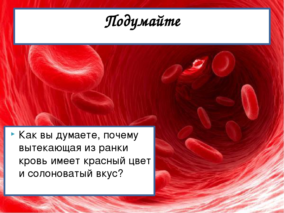 Слово чушпана кровь. Почему у человека красная кровь. Кровь красная из за железа.