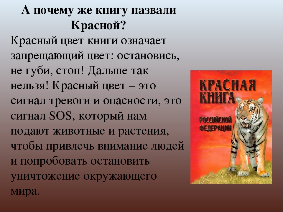 Почему назвали новая. Почему красная книга называется красной. Почему книгу назвали красной. Почему книга красная. Почему красная книга красная.