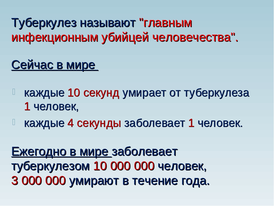 Сколько в день погибает людей в россии