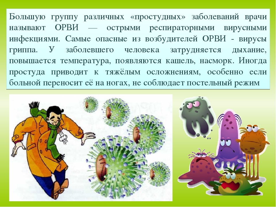 Виды инфекций. Возбудители ОРВИ. Возбудителями простудных заболеваний являются:. Назовите возбудителей ОРВИ:. Перечислите вирусы возбудители ОРВИ.