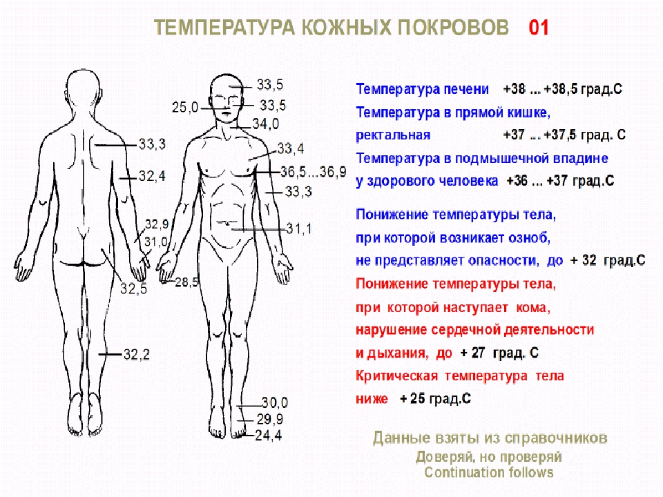 Температура тела человека 35.5. Стандарты температуры тела человека. Таблица температуры тела человека. Нормальная температура тела здорового человека. Нормы температуры тела в разных местах.