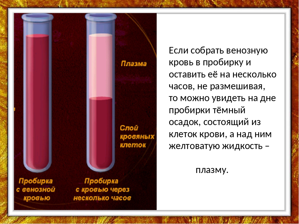 Образование вещества красного цвета. Венозная кровь в пробирке. Нормальный цвет венозной крови. Кровь сворачивается в пробирке.