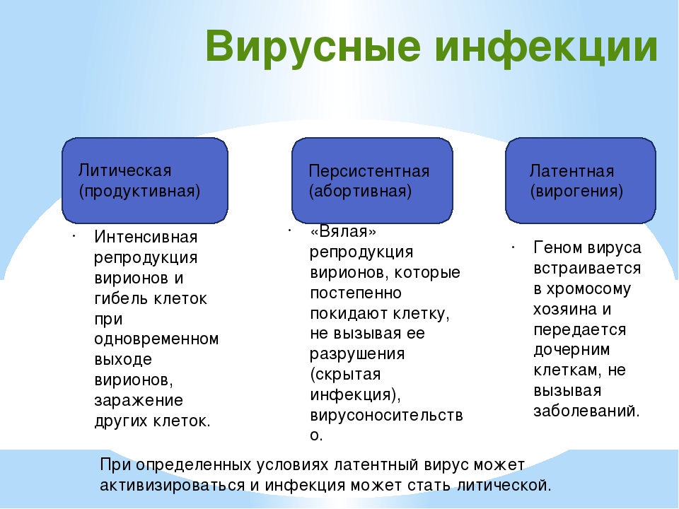 Болезни человека вызываемые. Типы вирусных заболеваний. Типы вирусных инфекций. Вирусные заболевания человека список. Типы инфекций вирусов.