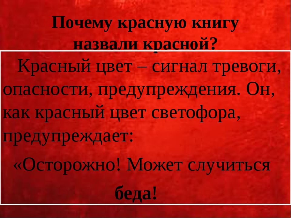 Песня называется красная. Красная книга красный цвет. Почему красная книга красного цвета. Почему красную книгу назвали красной. Почему красная книга называется красной.