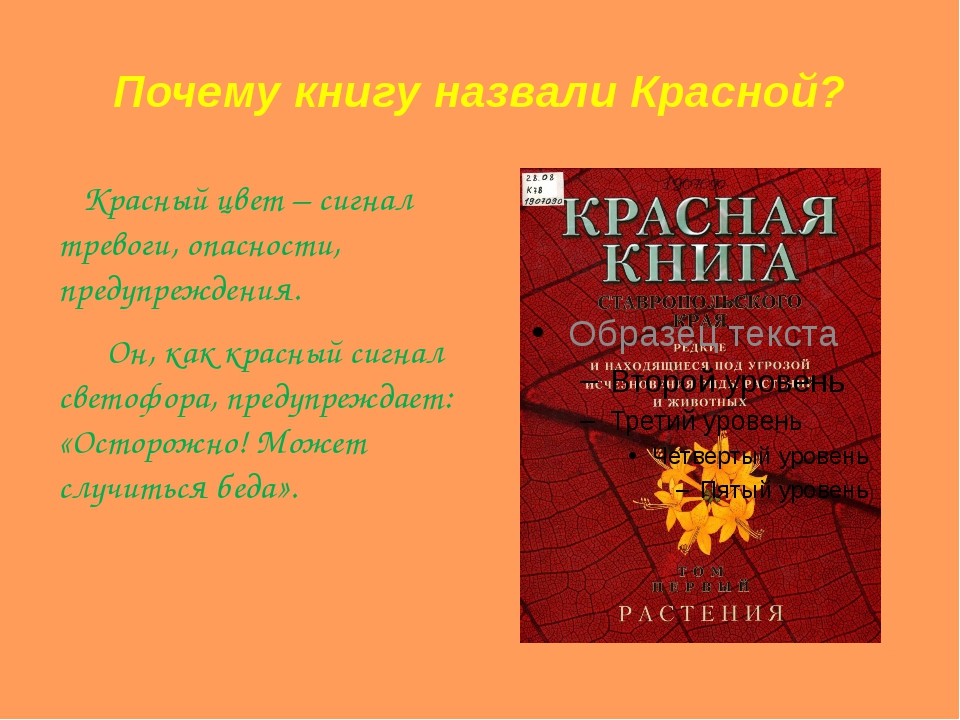 Красный потому. Почему книга называется красной. Почему книгу назвали красной. Почему книга называется красной книгой. Почему красная книга называется красной.