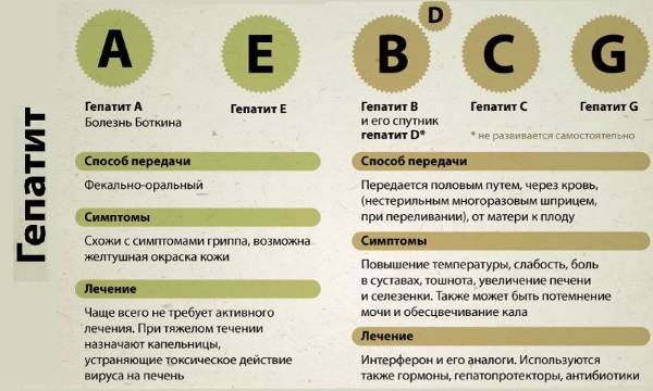 АЛТ и АСТ повышен - что это значит, расшифровка показателей анализа крови. Лечение у беременных, ребенка, взрослого