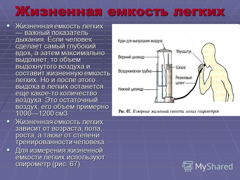 Жизненная емкость легких значение