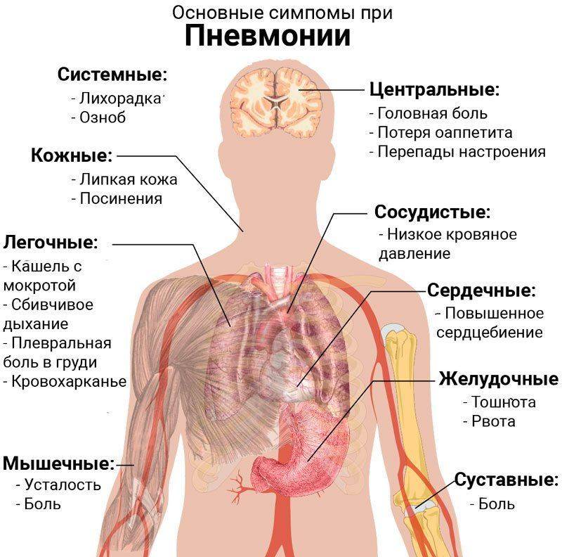 Первые признаки пневмонии. Основные симптомы при пневмонии. Пневмония кратко о болезни. Пневмония симптомы у взрослых.