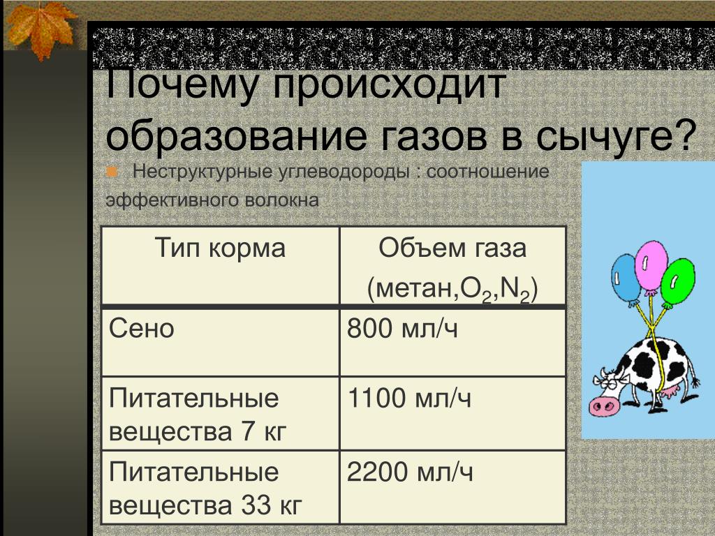 Что происходит с образованием в стране. Причины смещения сычуга. Патогенез смещения сычуга. Левостороннее смещение сычуга у коров.