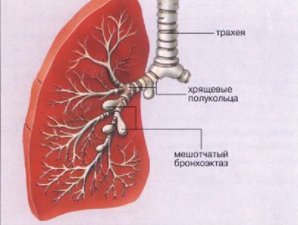 Что покажет диагностика? фото