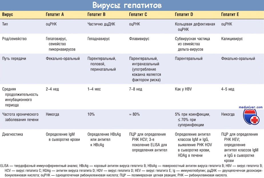 Чем отличается гепатит а от гепатита б. Дифференциальный диагноз вирусного гепатита а таблица. Дифференциальный диагноз вирусных гепатитов. Таблица дифференциальной диагностики вирусных гепатитов а и в. Этиология вирусных гепатитов таблица.