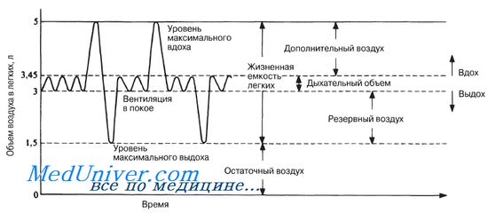 Схема взаимосвязей объемов вдоха. Резервный объем вдоха и выдоха в покое. Уровень максимального вдоха и выдоха. Уровень максимального вдоха норма.