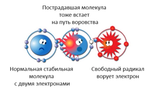 антиоксиданты