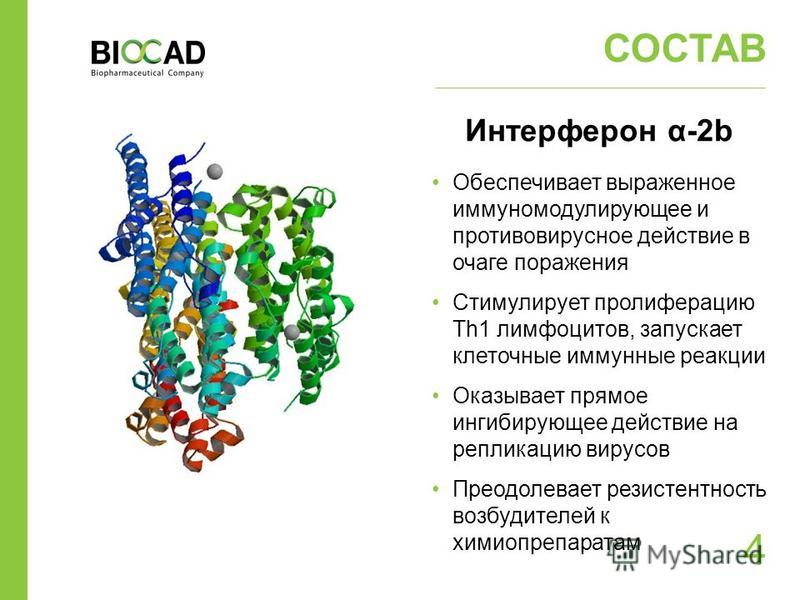 Описание