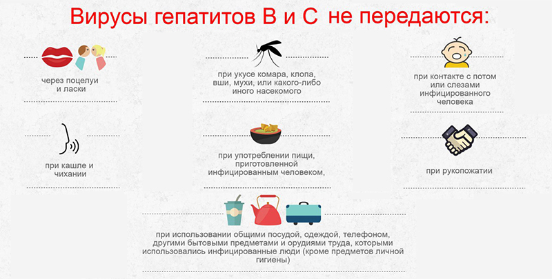 Как заражаются гепатитом. Гепатит с передается через слюну. Передаётся ли вирус гепатита с через слюну. Передается ли гепатит с через слюну ребенку. Пути передачи гепатита с через поцелуй.