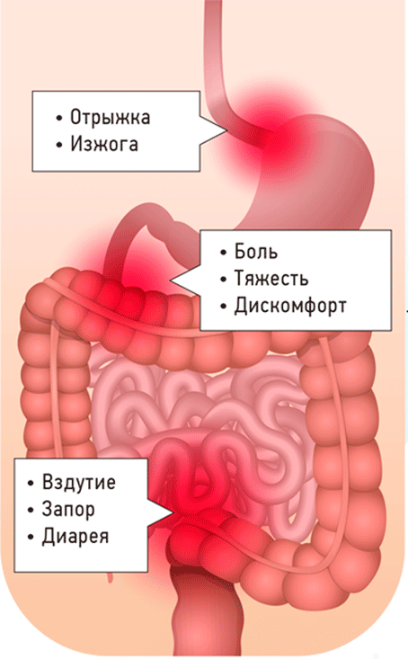 Вздутие и дискомфорт в кишечнике. Спастическое сокращение кишечника.