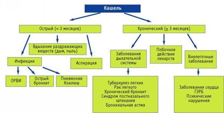 Виды кашля. Разновидности кашля у взрослых причины. Какие виды кашля бывают у детей. Продуктивный кашель классификация. Виды сухого кашля у ребенка.