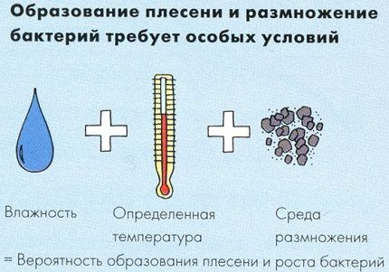 Условия для грибка