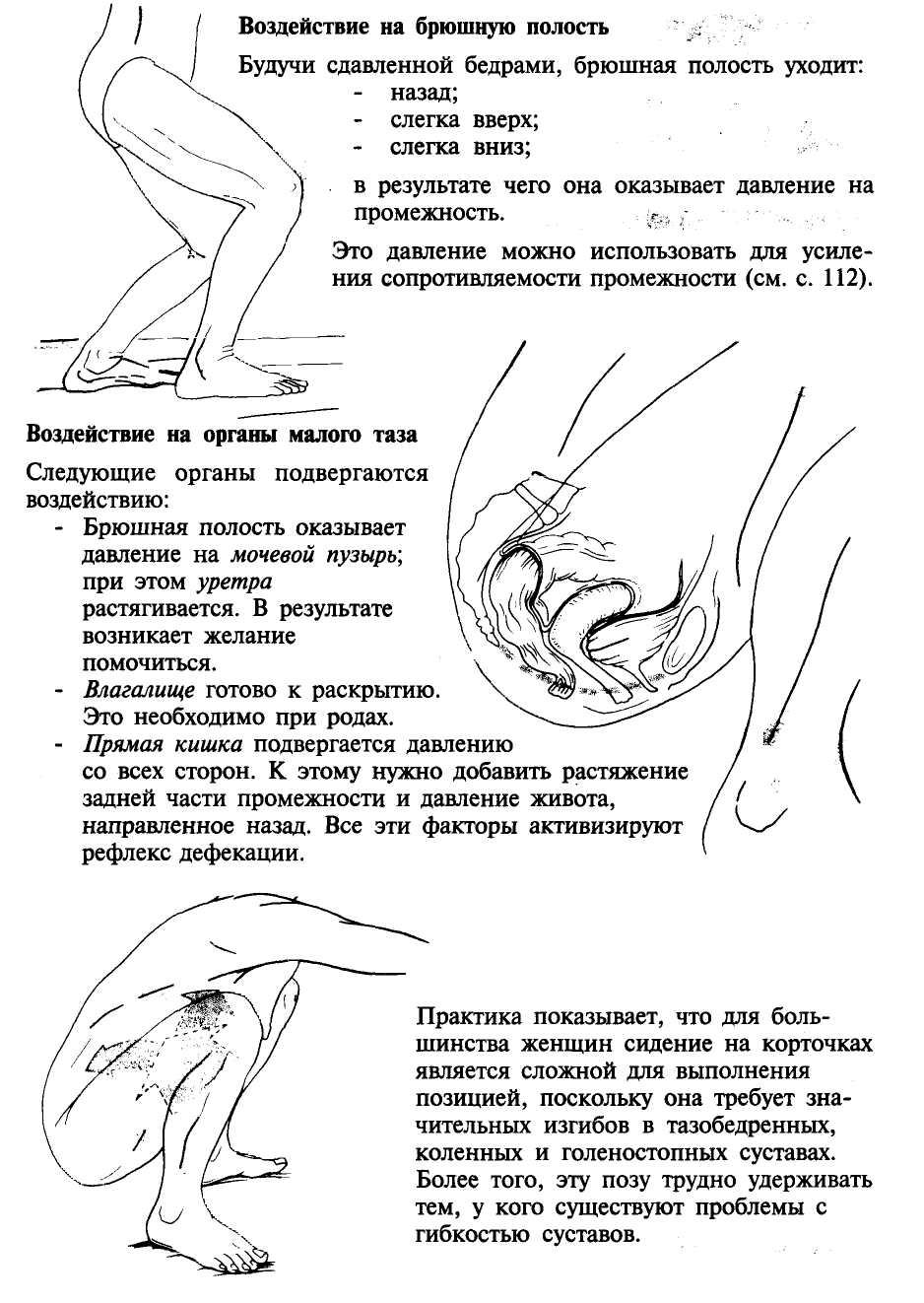 Симптомы опущения органов малого таза у женщин. Упражнения при опущении внутренних органов брюшной полости. Упражнения от опущения органов брюшной полости. Упражнения от опущения внутренних органов брюшной полости. Упражнения при опущении внутренних органов малого таза.