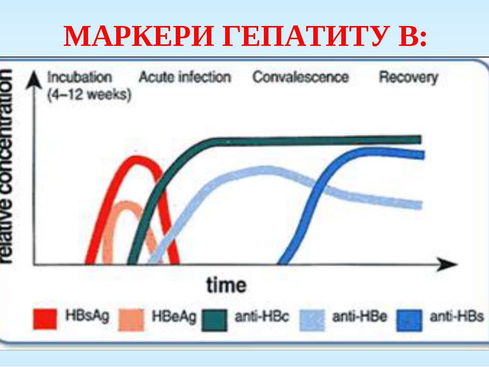 Кровь на маркеры гепатита в и с. Антигенные маркеры гепатита в. Динамика маркеров гепатита b. Маркеры гепатита в график. Маркеры гепатита c.