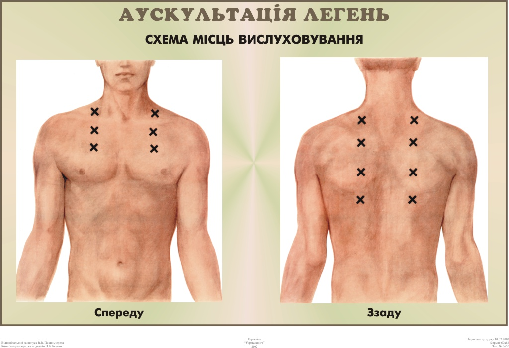 Точки легких. Точки аускультации легких. Аускультация легких. Точки аускультации легких схема. Порядок аускультации легких.