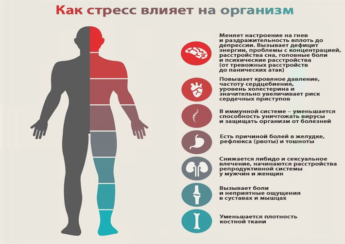 На нервной почве. Болезни от нервов. Влияние стресса и болезни. Заболевания на нервной почве. Болезни вызванные стрессом.