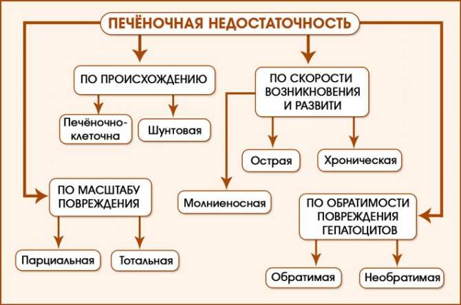 Симптомы печеночной недостаточности