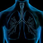 asthma vs bronchitis