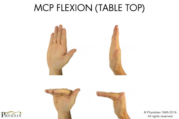 MCP Flexion 