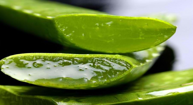 Natural Laxatives for Constipation Relief aloe vera
